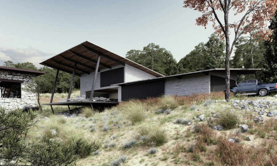 House in the Woods Render